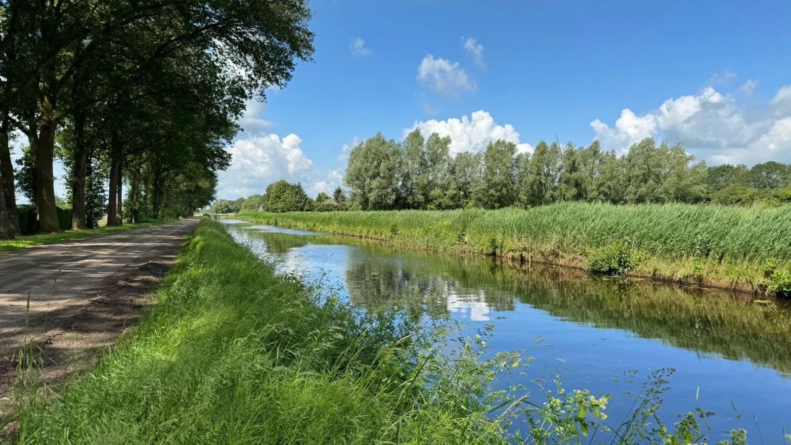 Heeresteeg-Gebieden zomer 1km