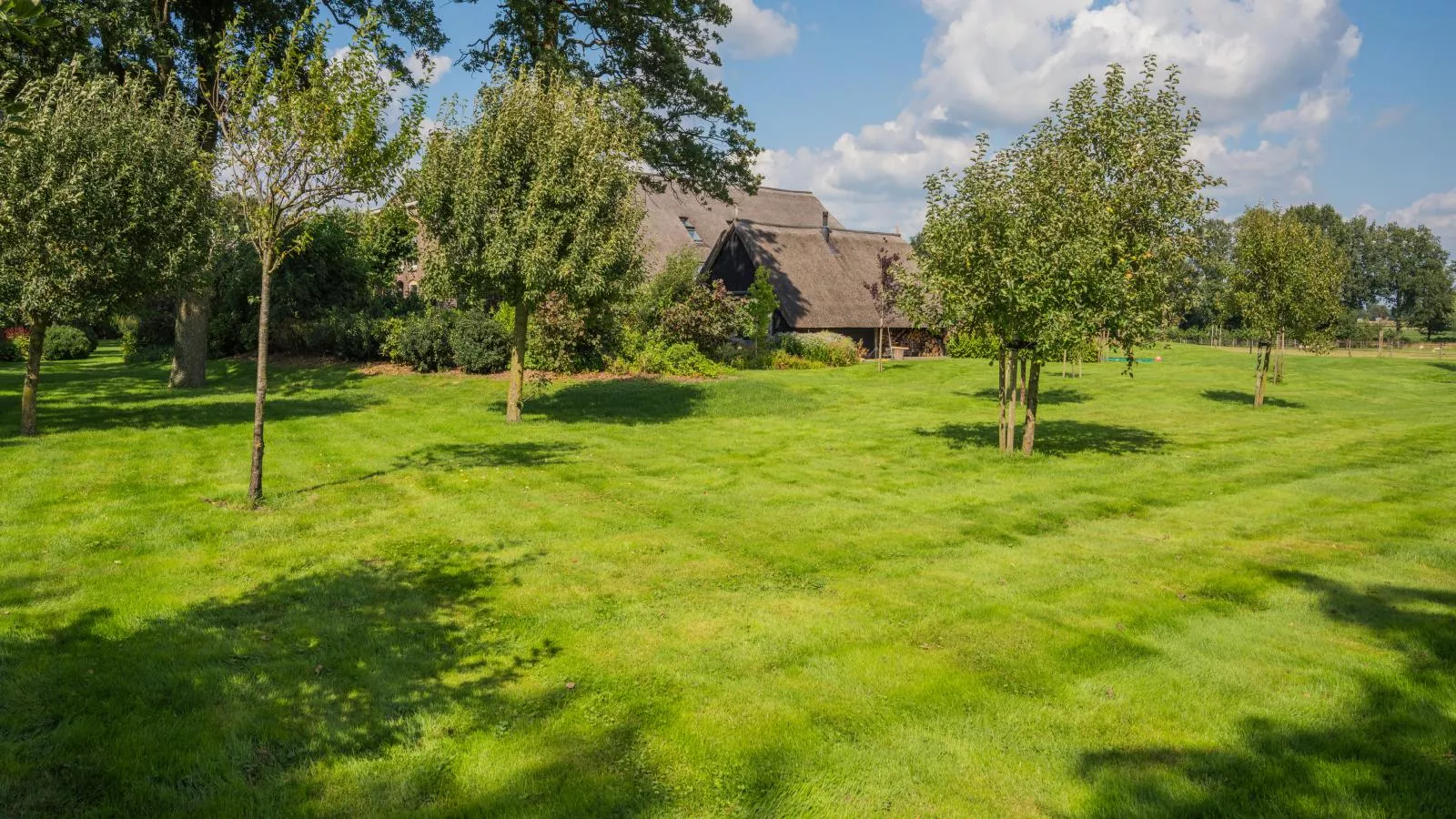 An t Noordende - 8 pers-Tuinen zomer