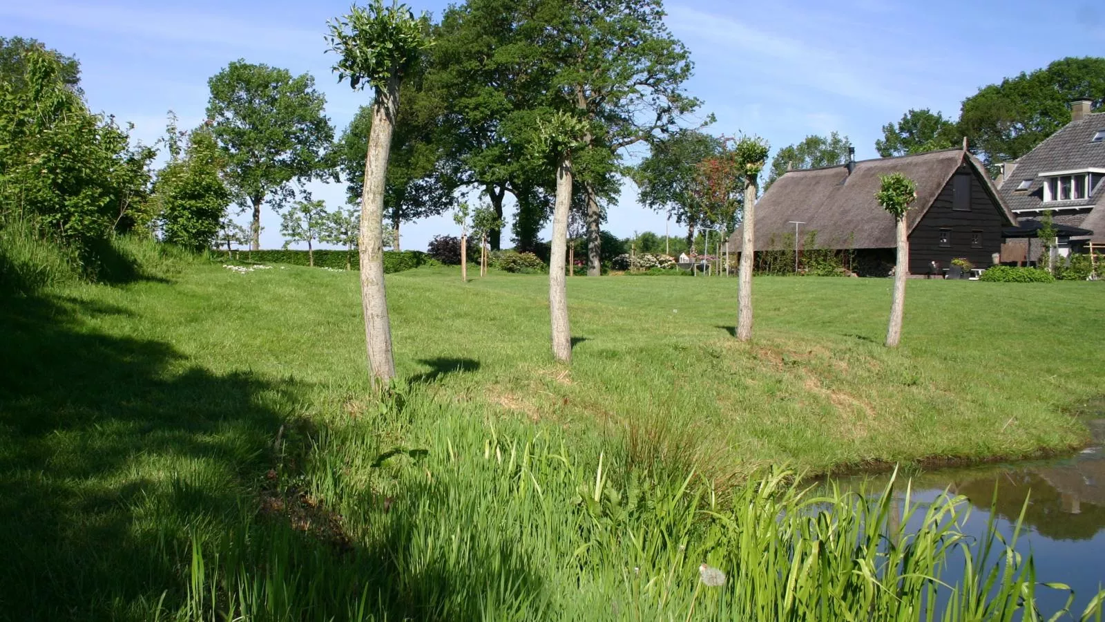 An t Noordende - 8 pers-Tuinen zomer