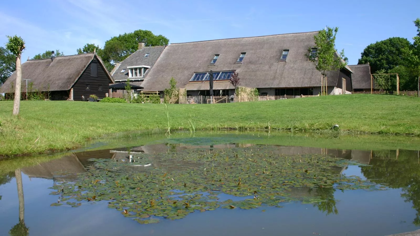 An t Noordende - 8 pers-Buitenkant zomer