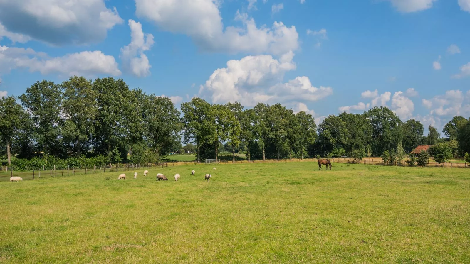 An t Noordende - 8 pers-Uitzicht zomer