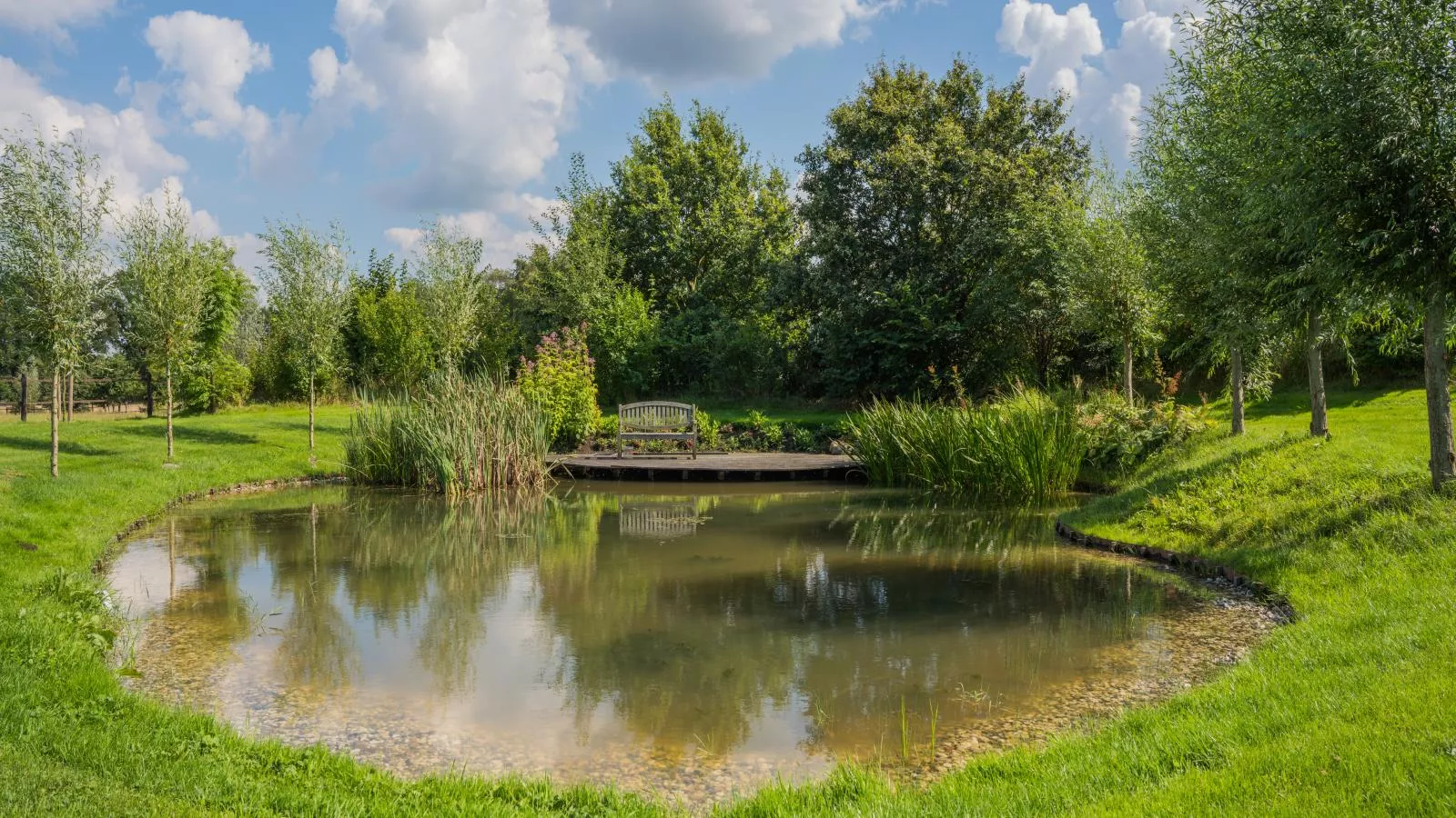 An t Noordende - 8 pers-Tuinen zomer