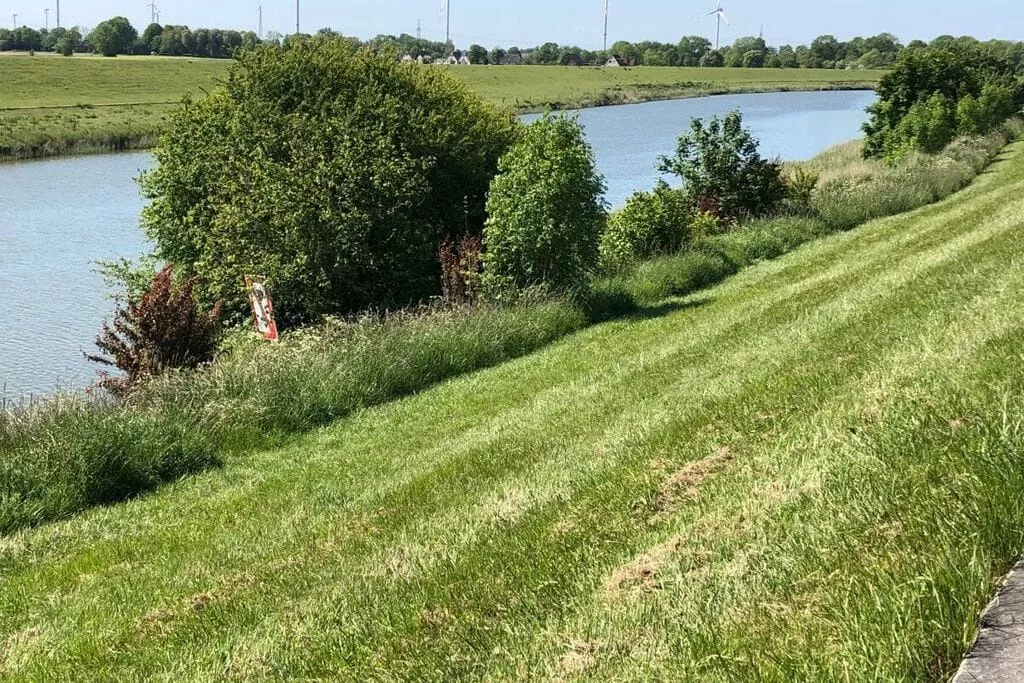 293006-Gebieden zomer 5km