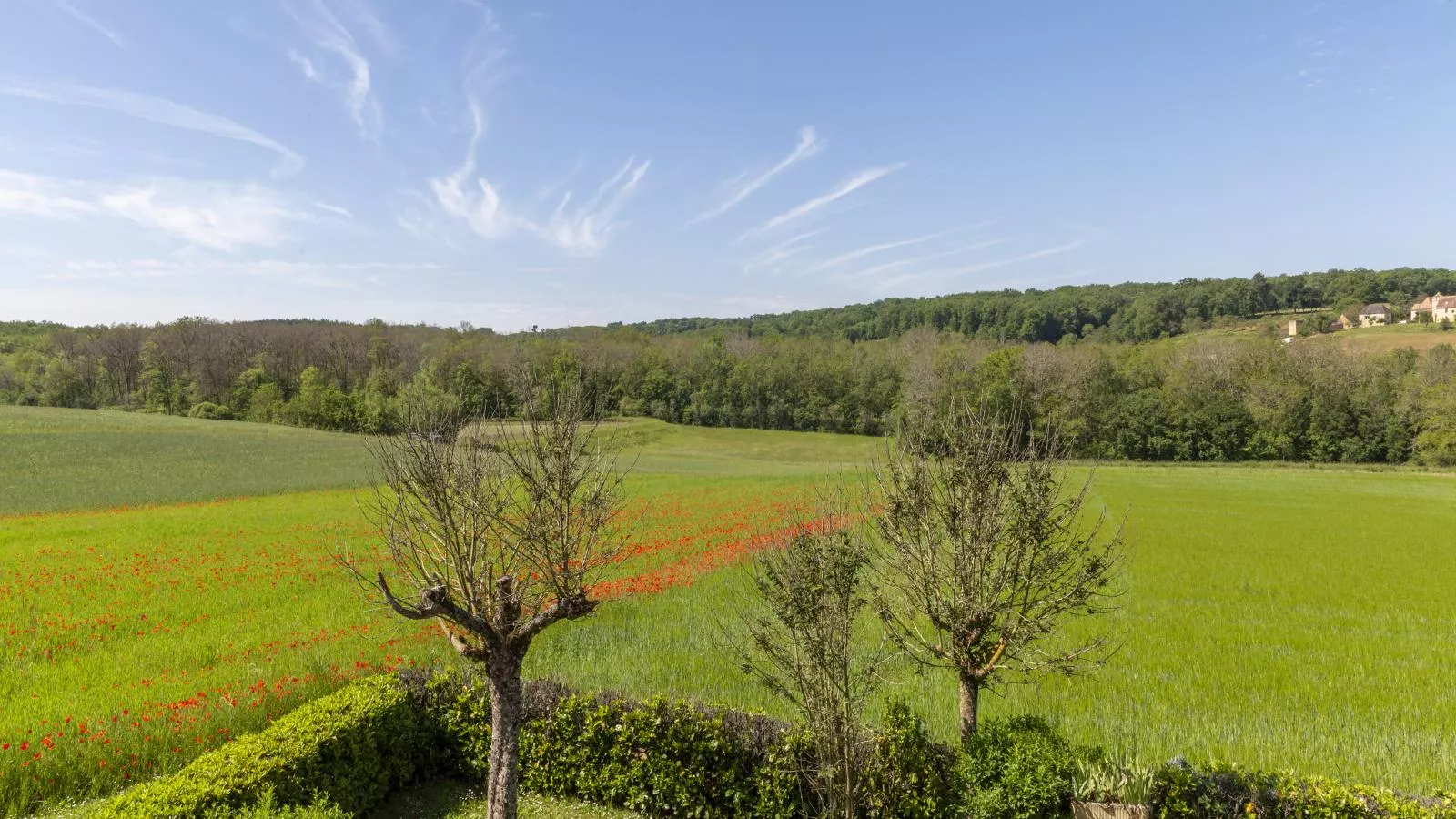 Lavende-Uitzicht zomer