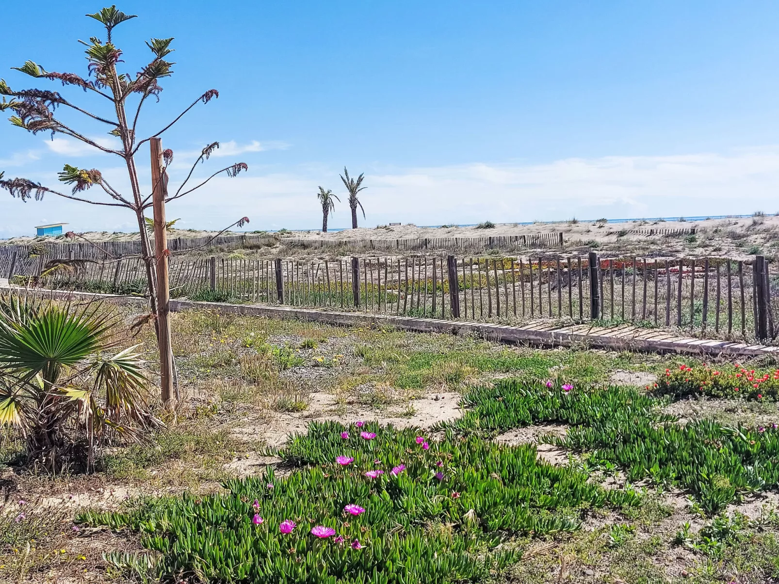 Bastides de la Mer-Omgeving