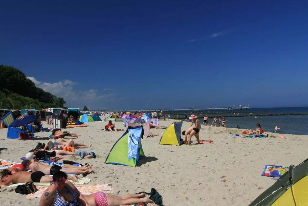 86702-Gebieden zomer 5km