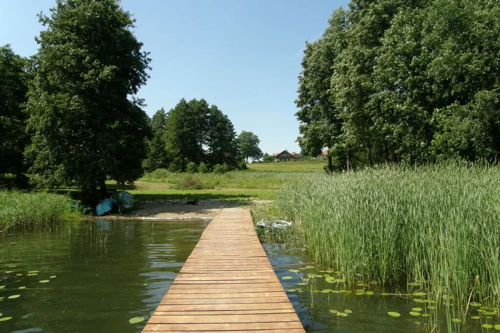 106889-Gebieden zomer 1km