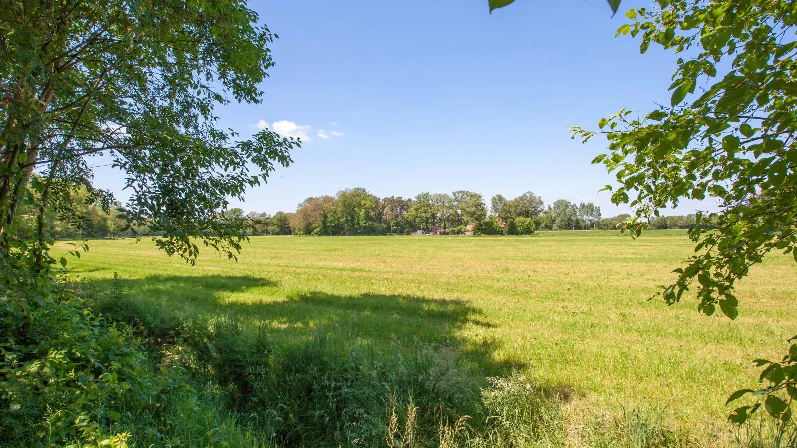 De Spil-Gebieden zomer 1km