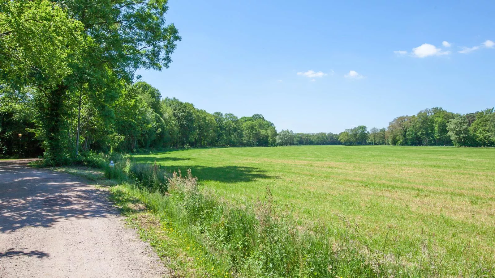 De Spil-Gebieden zomer 1km