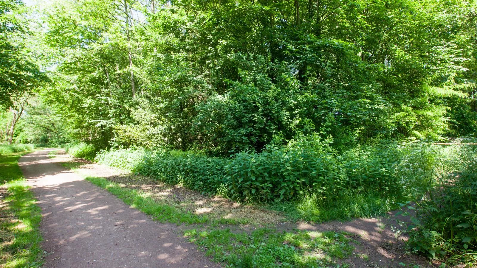 De Spil-Gebieden zomer 1km