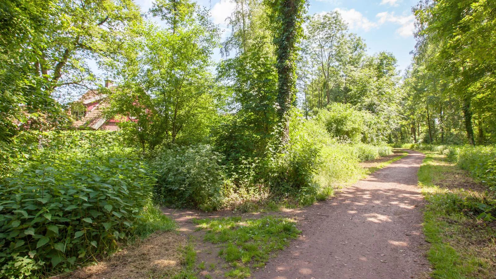 De Spil-Gebieden zomer 1km