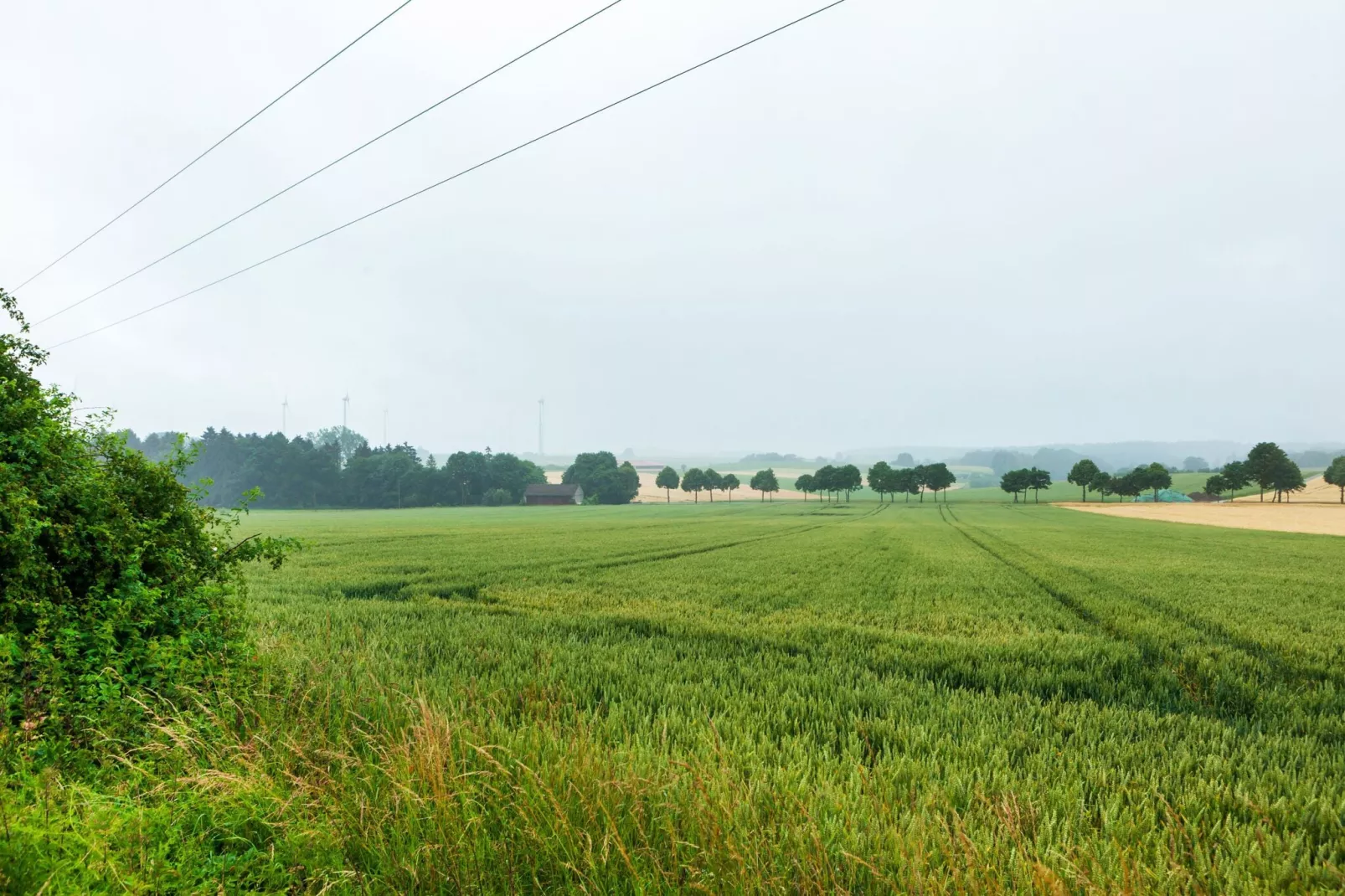 Bad Wünnenberg-Gebieden zomer 1km