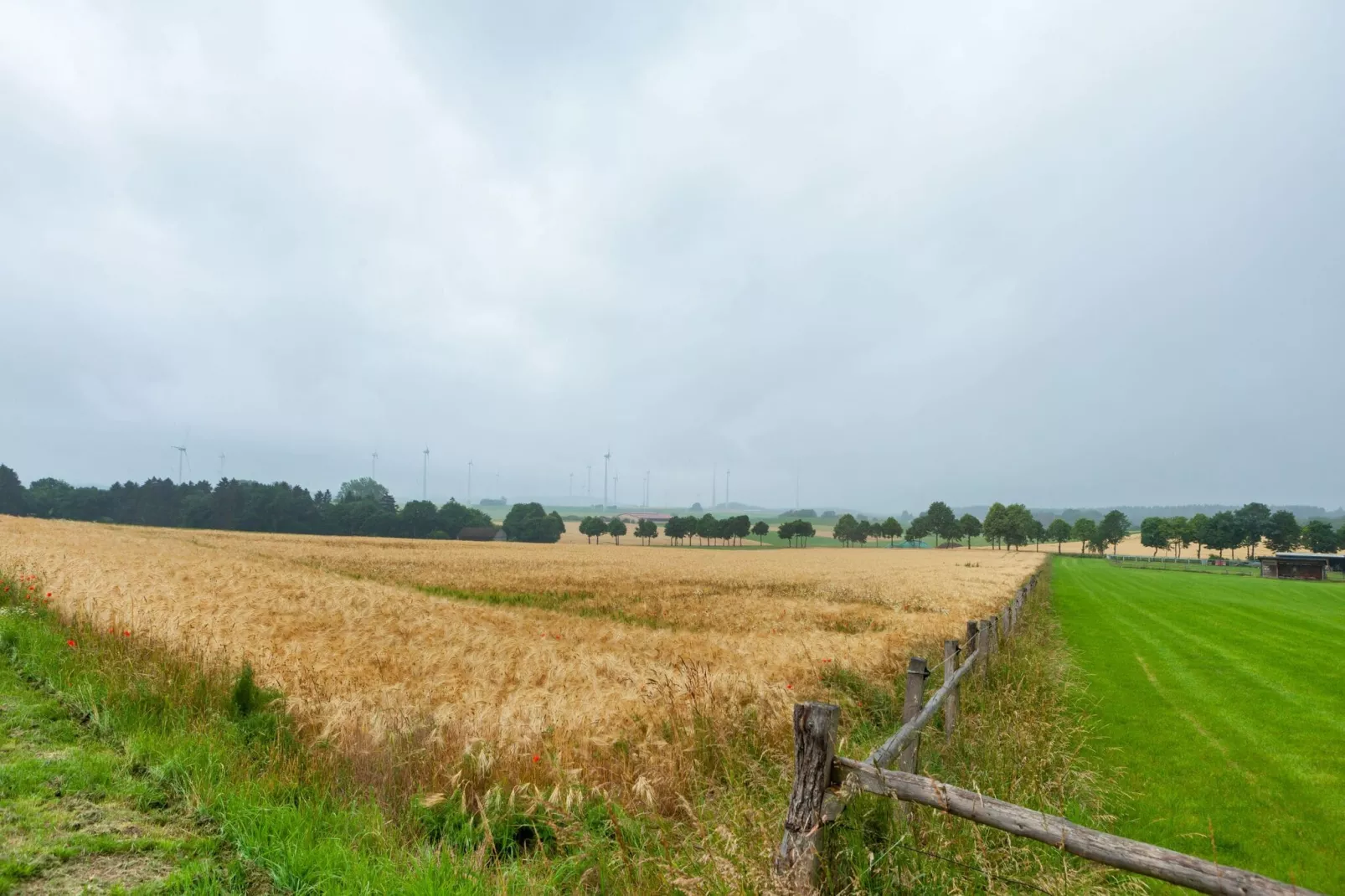 Bad Wünnenberg-Gebieden zomer 5km