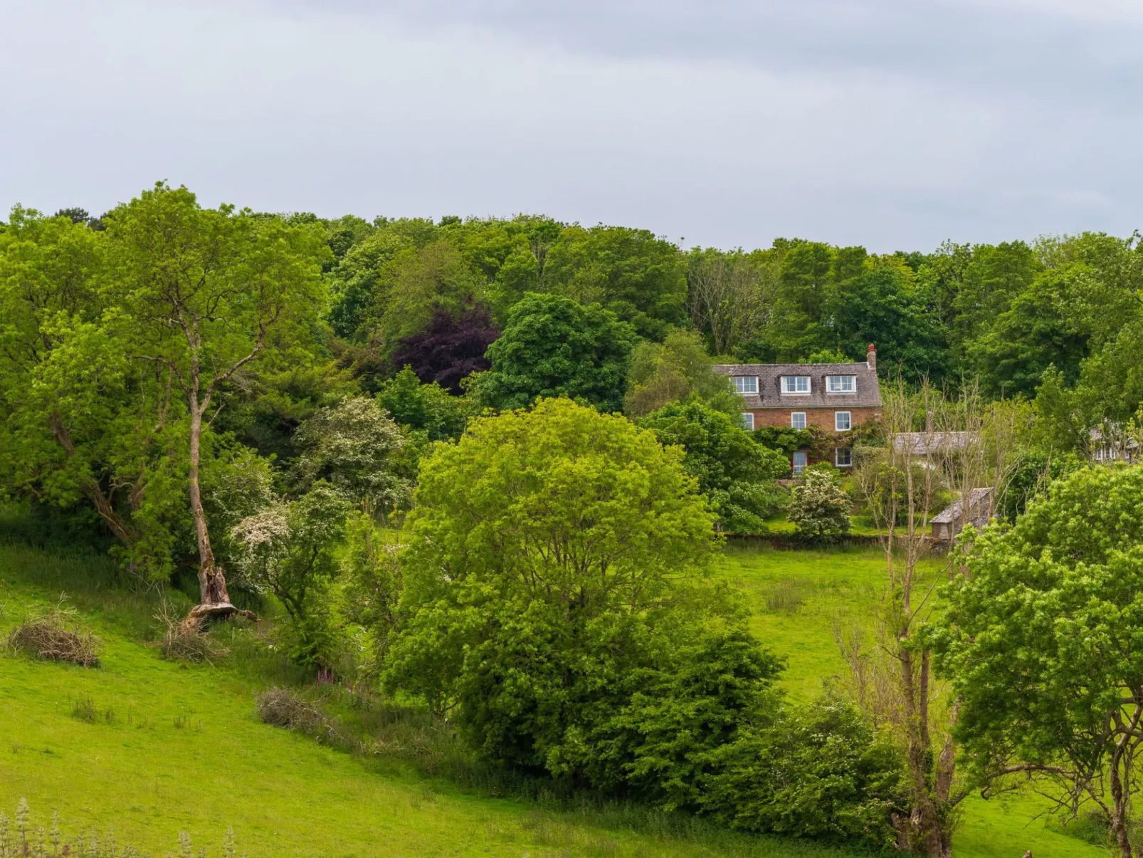 Hendersick House-Buiten