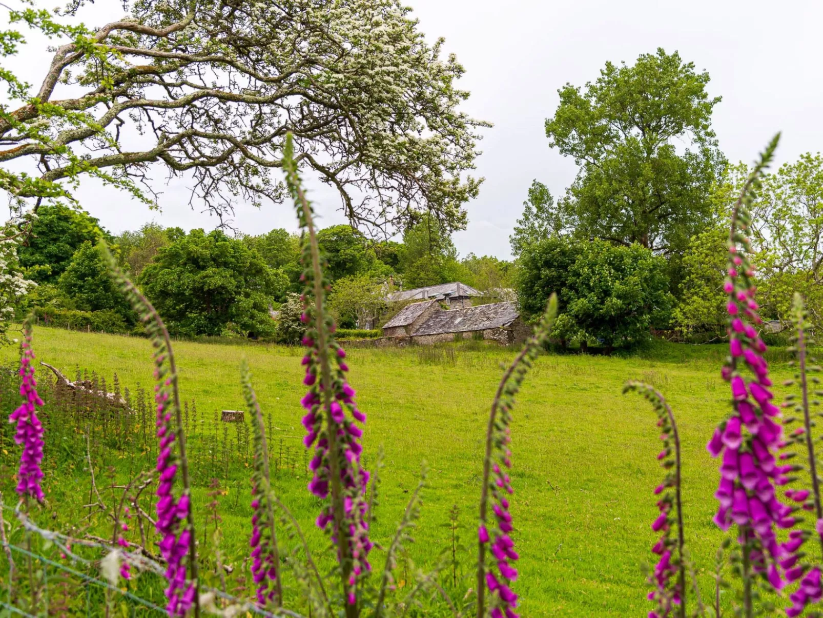 Hendersick House-Buiten