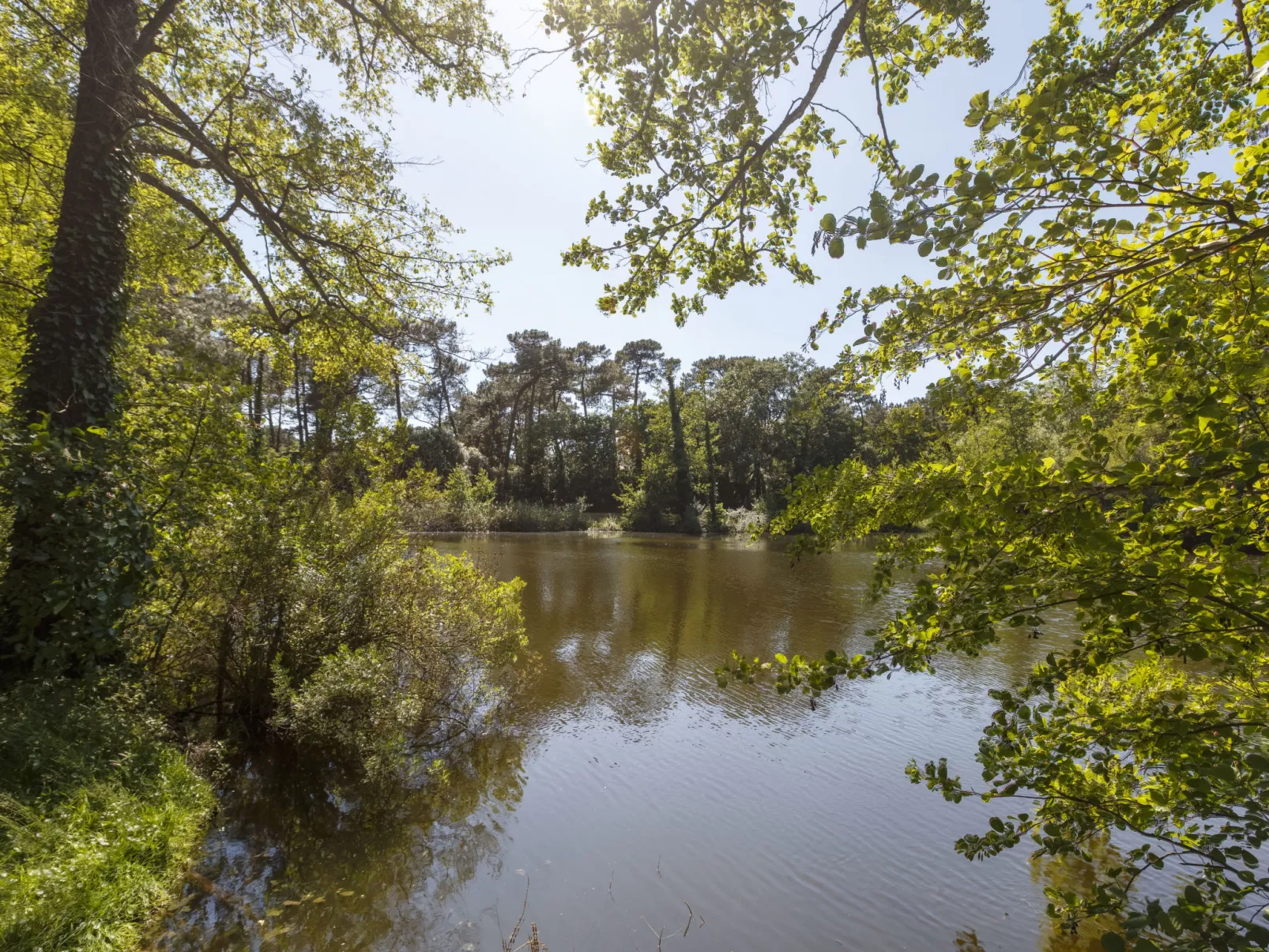 Parc de la Résidence-Buiten