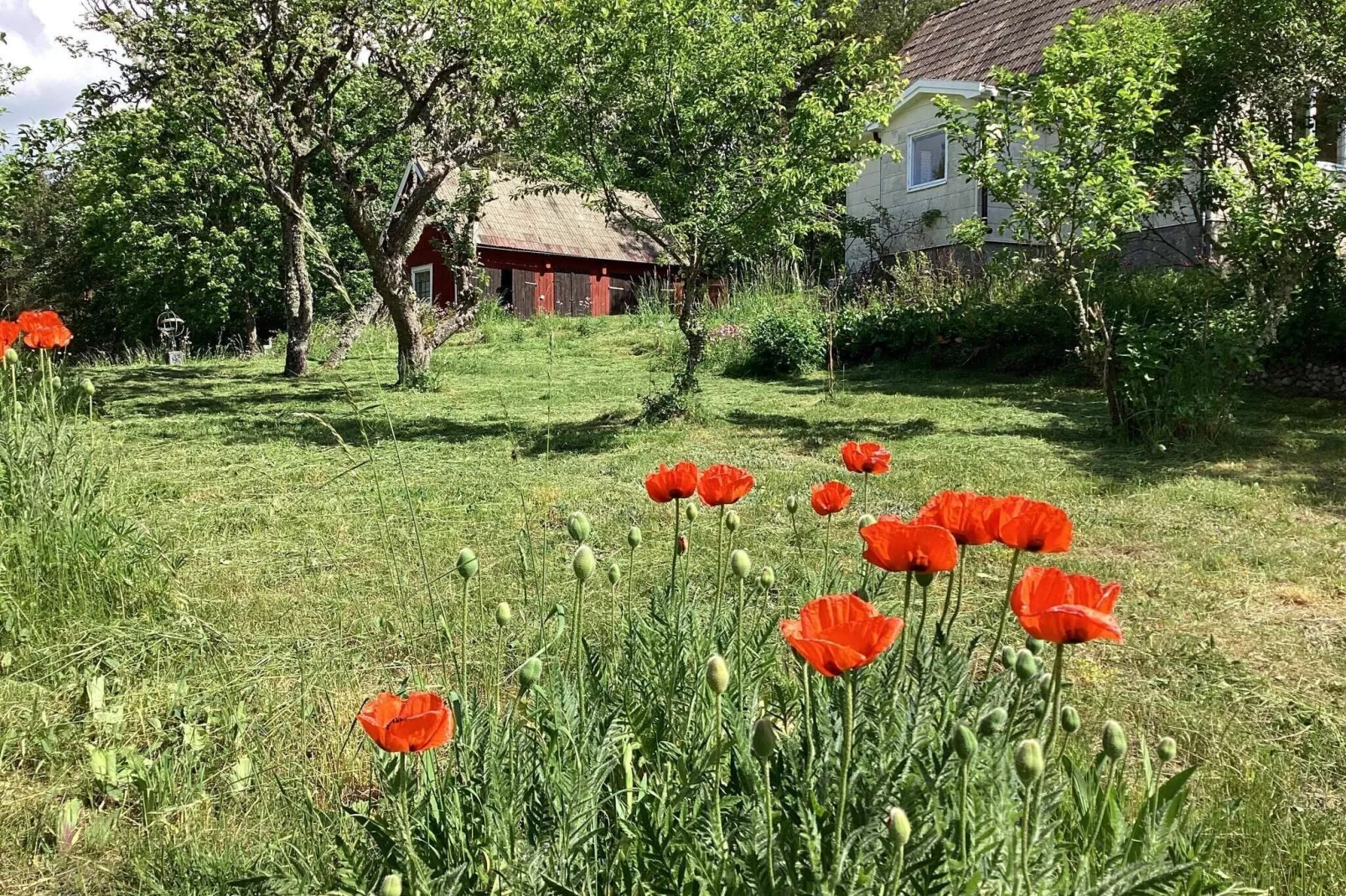 4 persoons vakantie huis in ASARUM-Buitenlucht