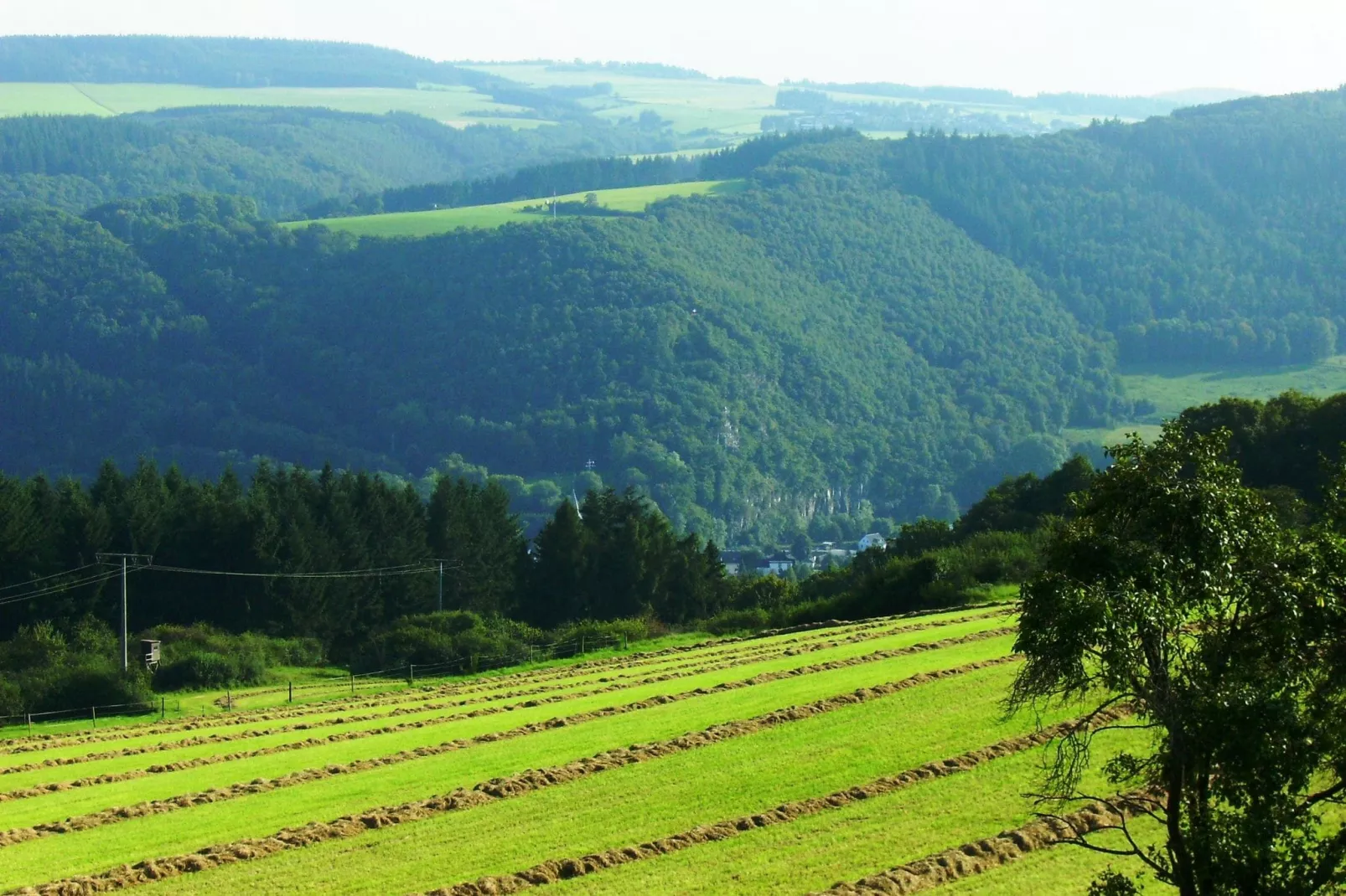 Zur Schöne Aussicht-Uitzicht zomer