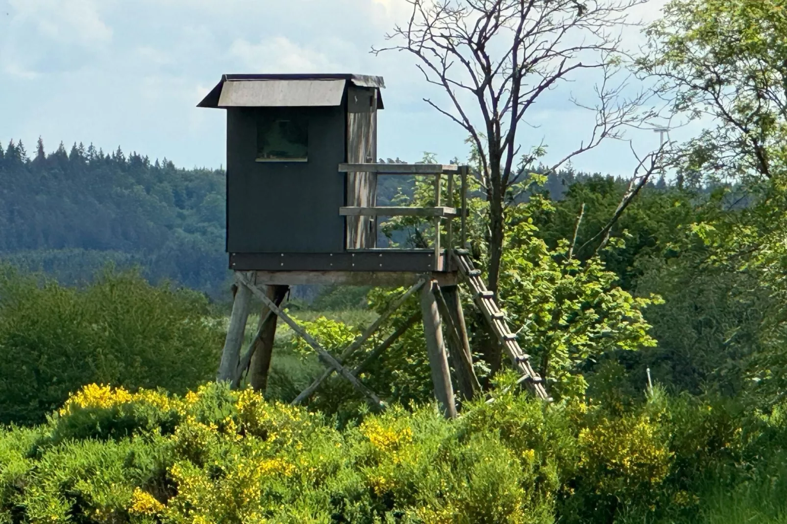 Zur Schöne Aussicht-Sfeer