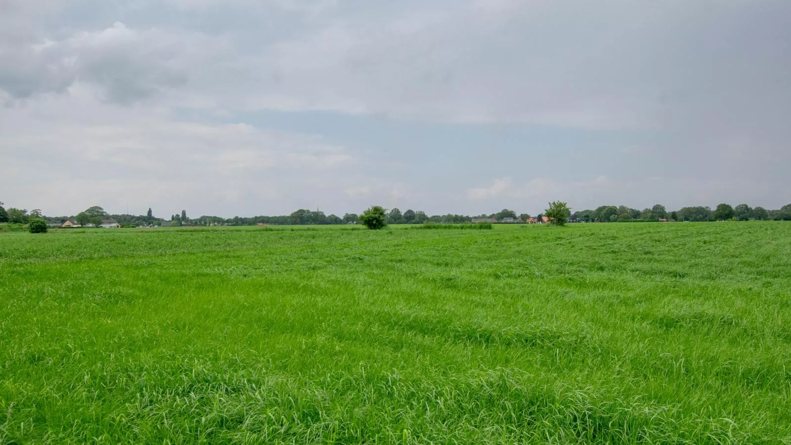 Villa Bianco-Gebieden zomer 1km