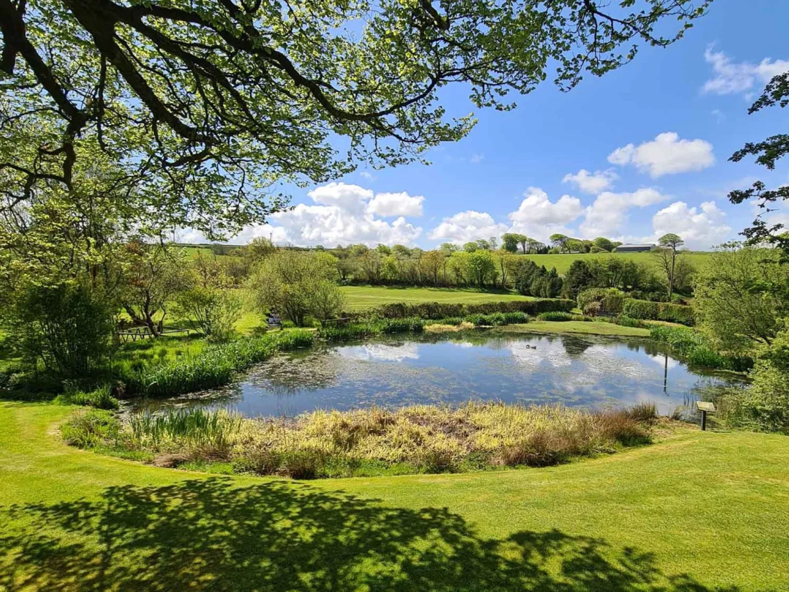 Brookview Lodge 1-Buiten