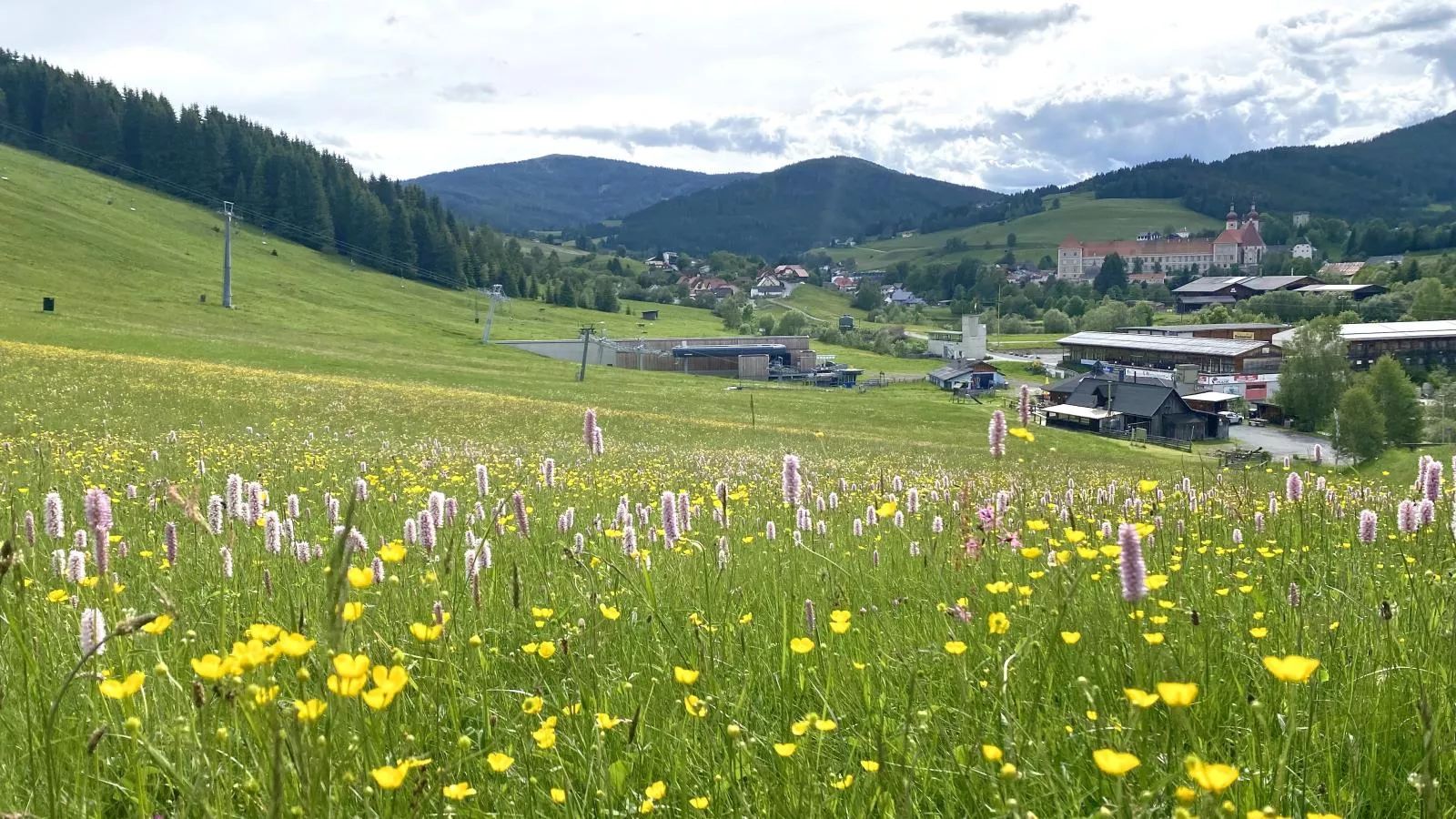 Grebenzen Lodge 1028-Gebieden zomer 1km