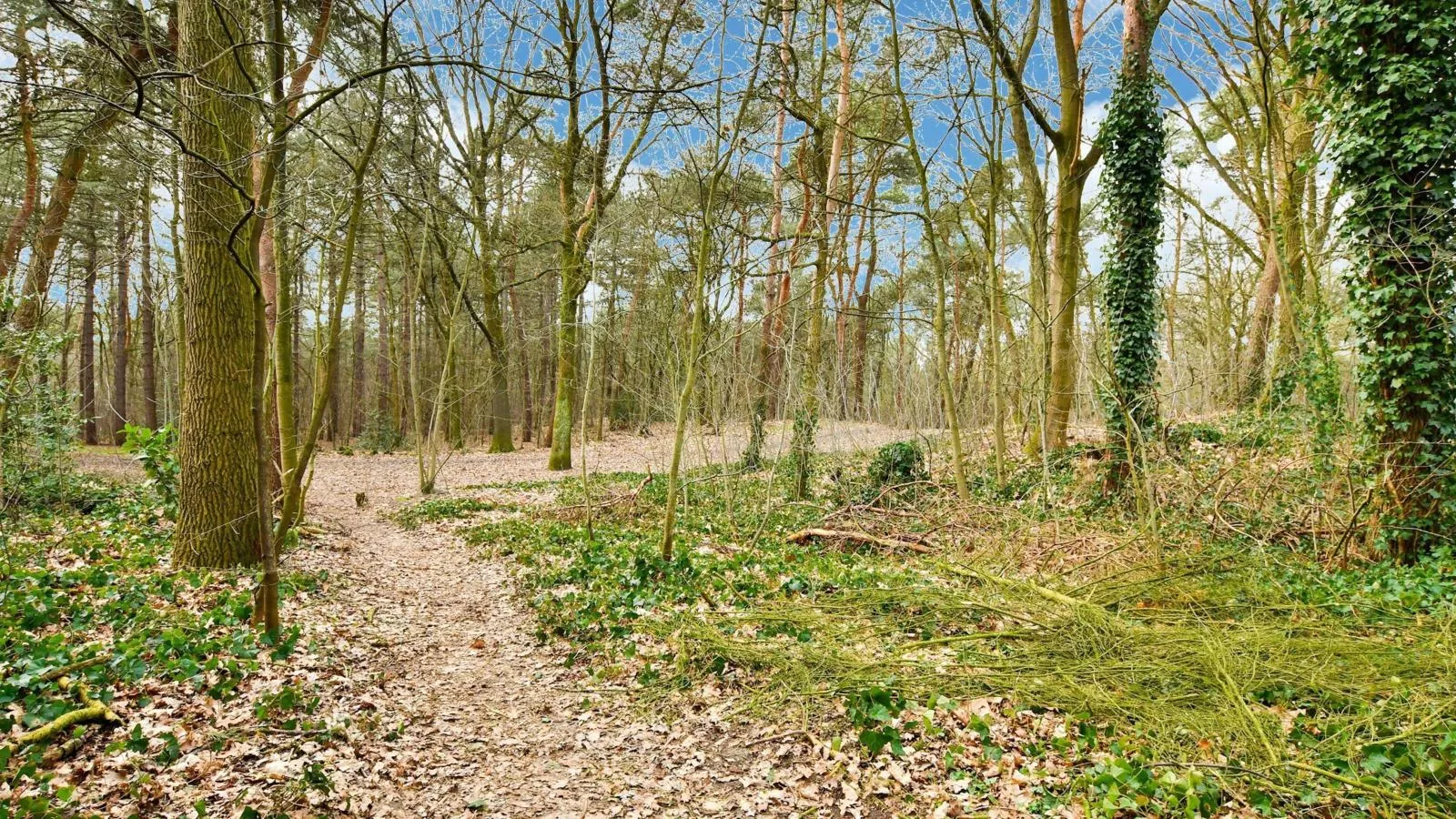 Stille Wille B13-Gebieden zomer 1km