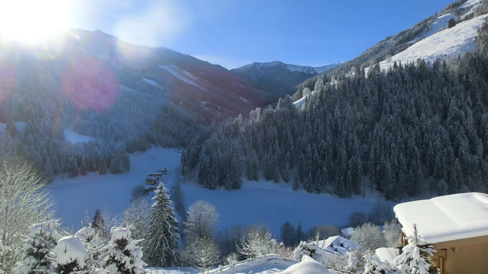 Chalet Huski Viehhofen-Uitzicht winter