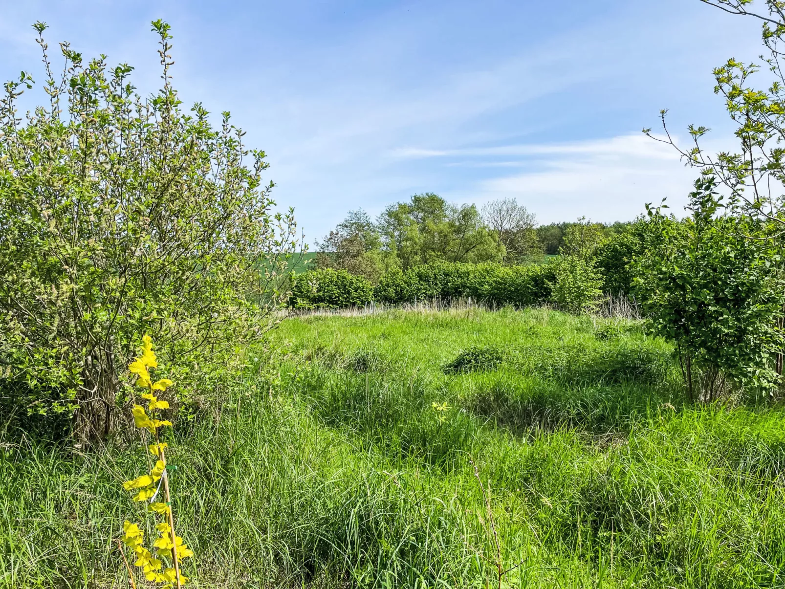 Eschengrund-Buiten