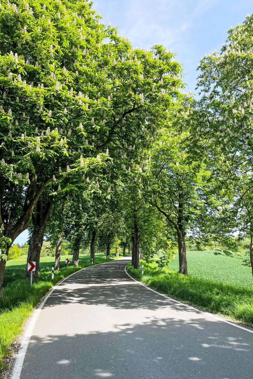 Eschengrund-Buiten