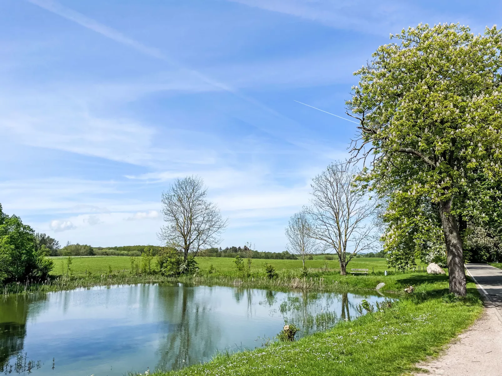 Eschengrund-Buiten