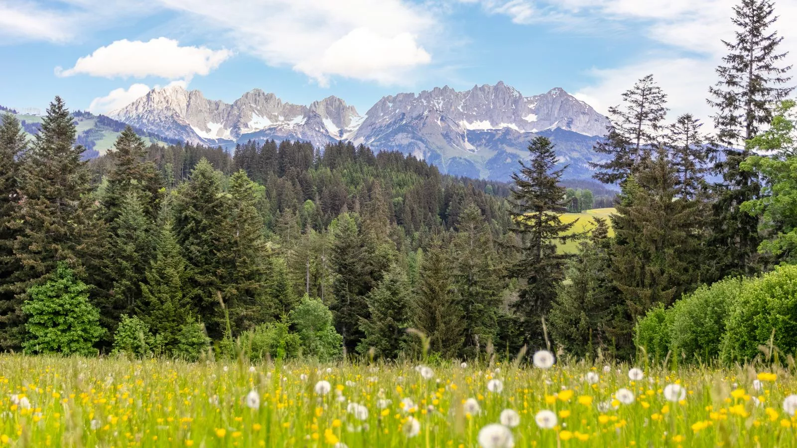 Chalet Kaiserblick