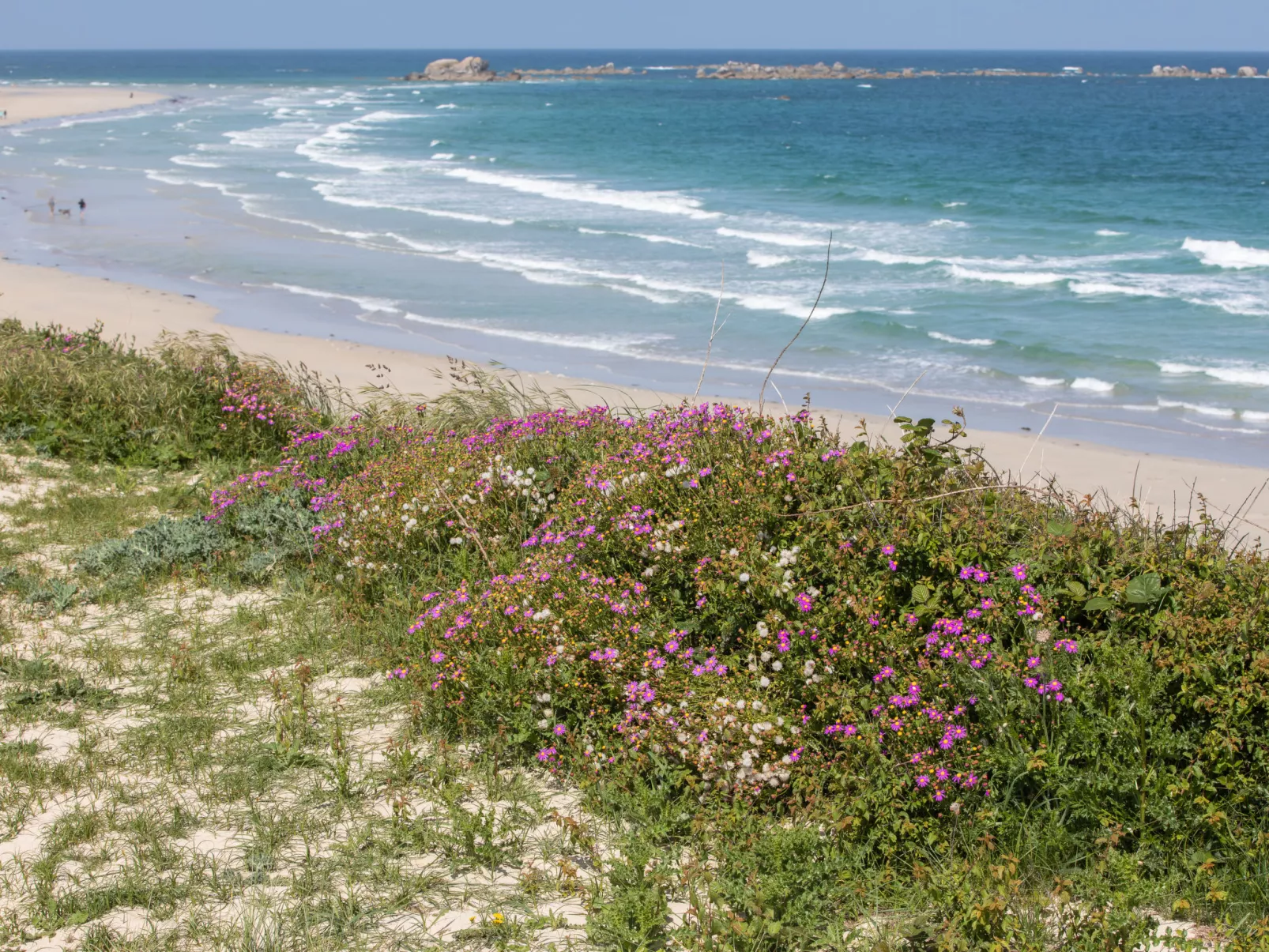 Villa de la Côte des Sables-Omgeving