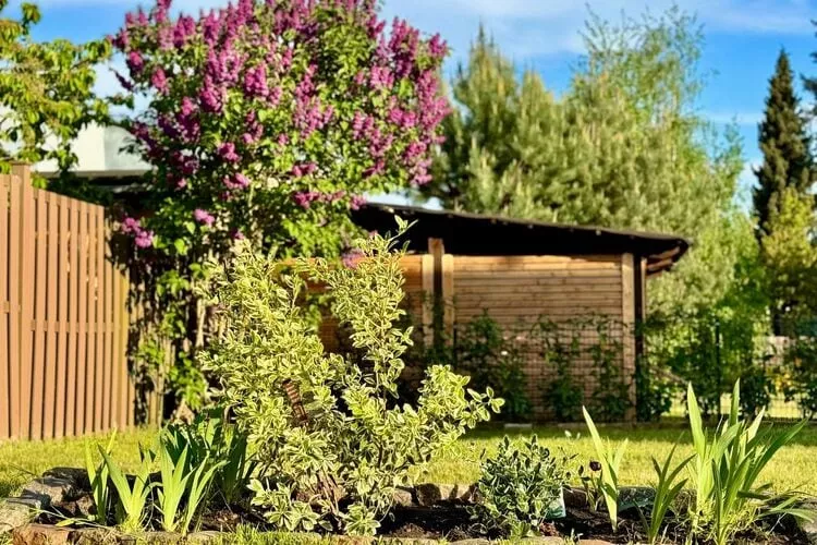 Ferienhaus Havelzeit-Tuinen zomer