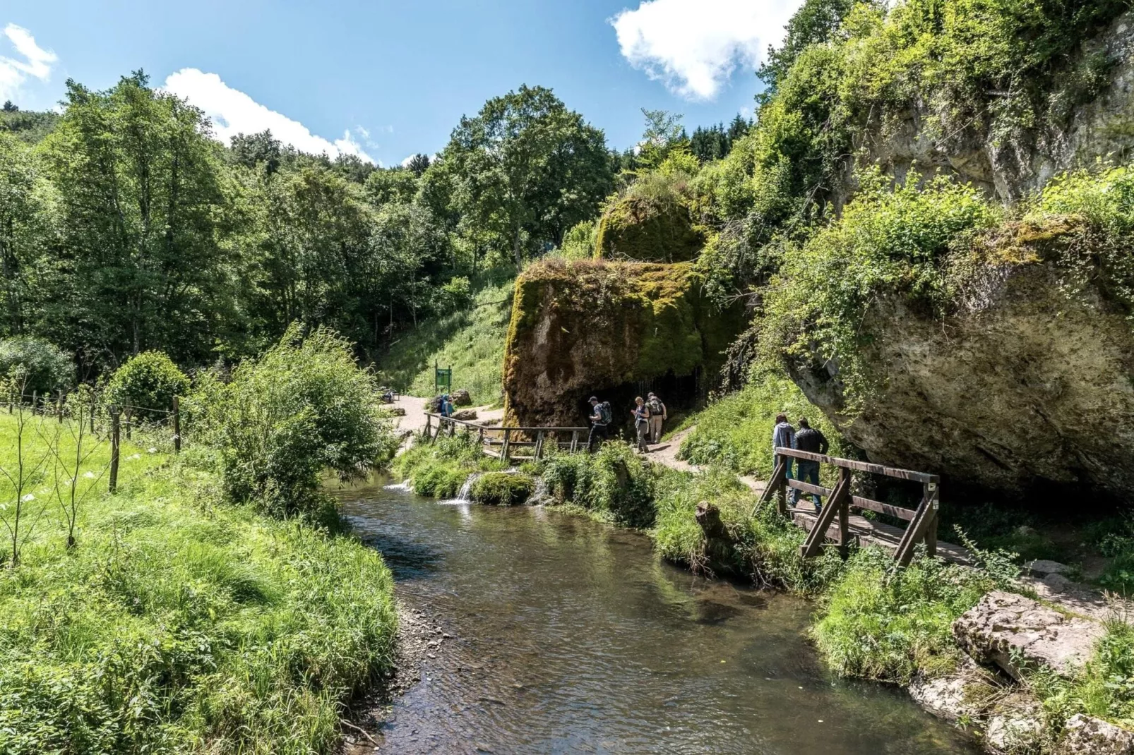 Sesterheim-Gebieden zomer 20km