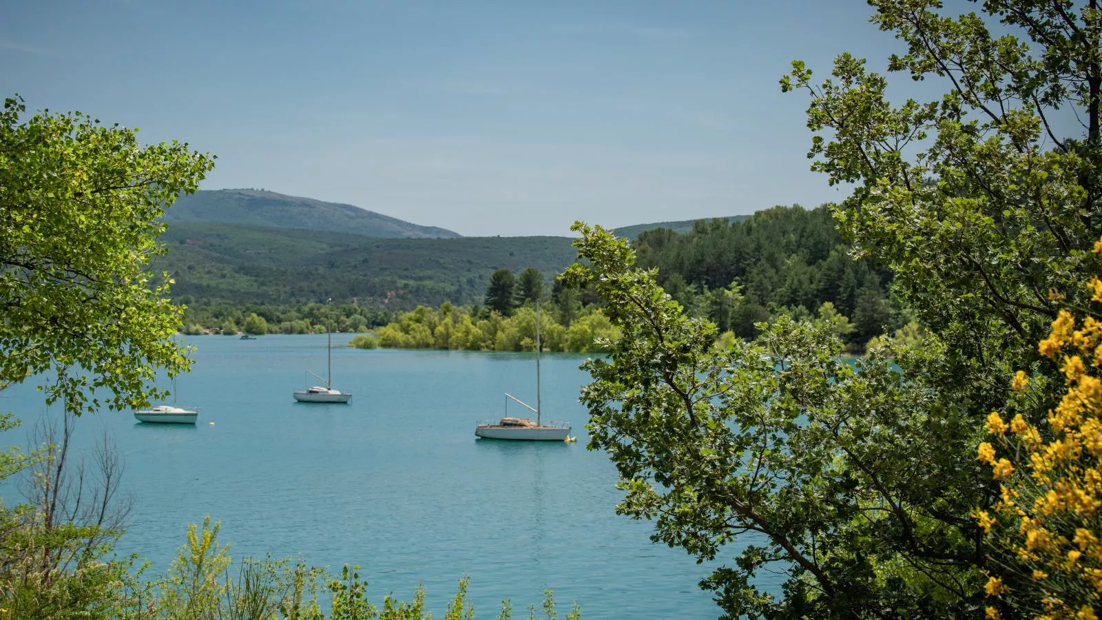 La porteuse deau