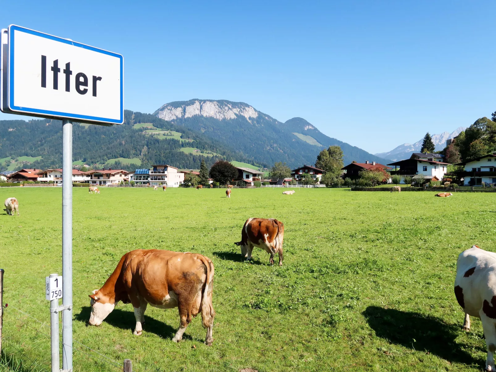 Zur schönen Aussicht-Omgeving