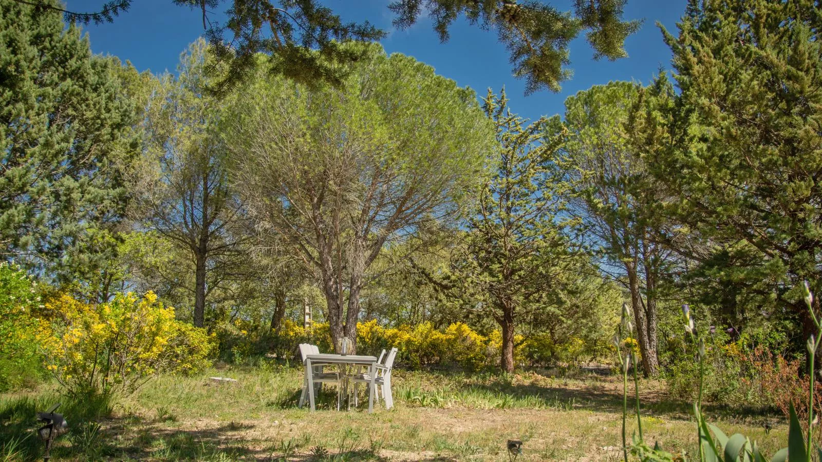 Villa Cantirane-Tuinen zomer