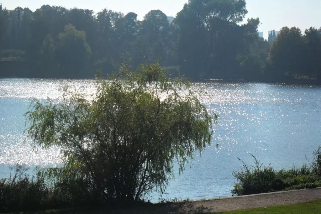 17143-Gebieden zomer 5km