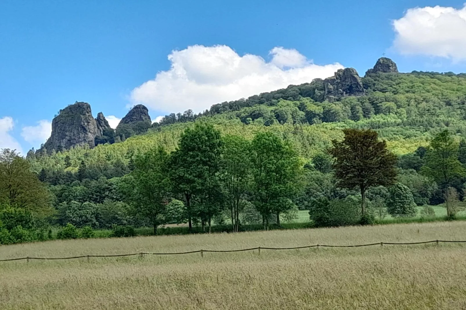 Ferienwohnung am Wald-Gebieden zomer 5km