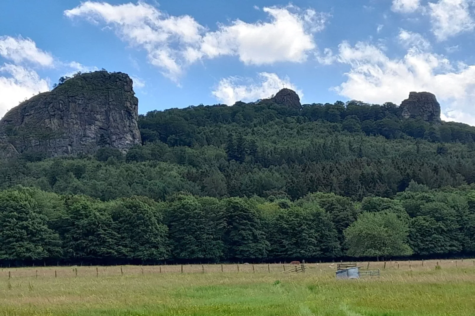 Ferienwohnung am Wald-Gebieden zomer 5km