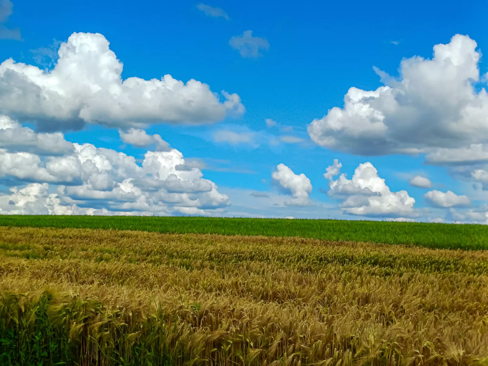 Countryside estate-Buiten