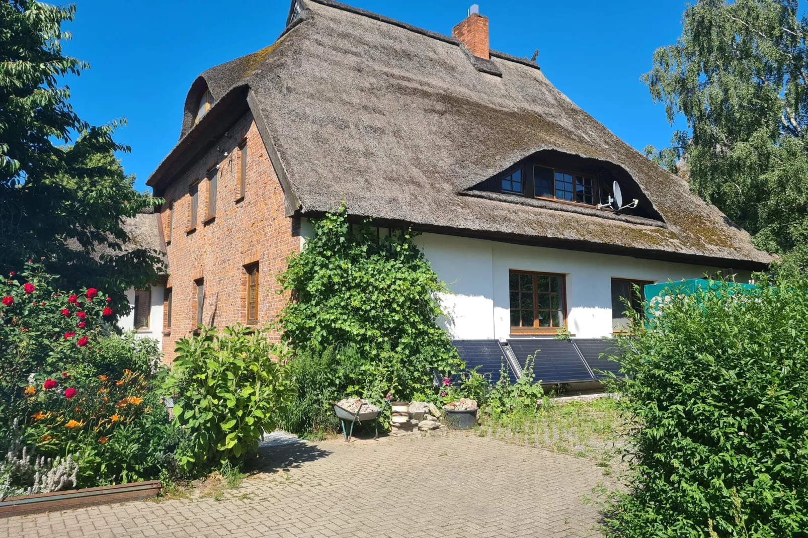 Schoene Wohnung im reetgedachten Bauernhaus