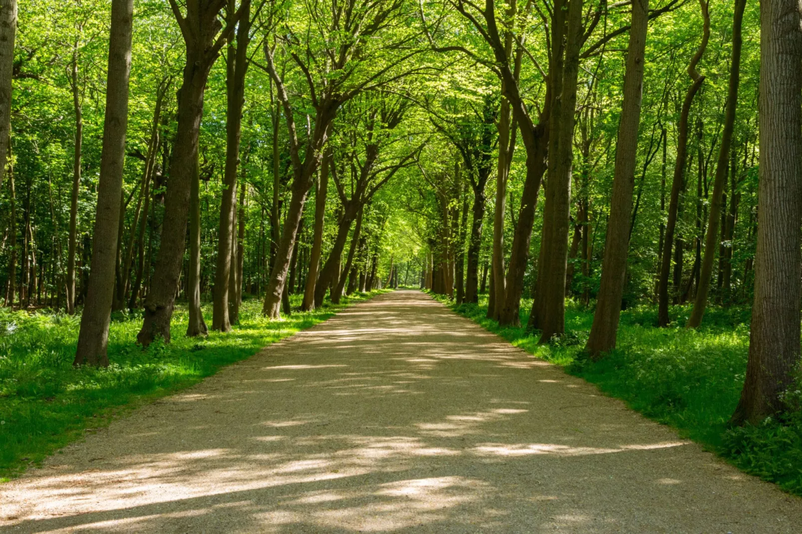 Vakantiehuis - Oosterpark 77 - Oostkapelle-Gebieden zomer 1km