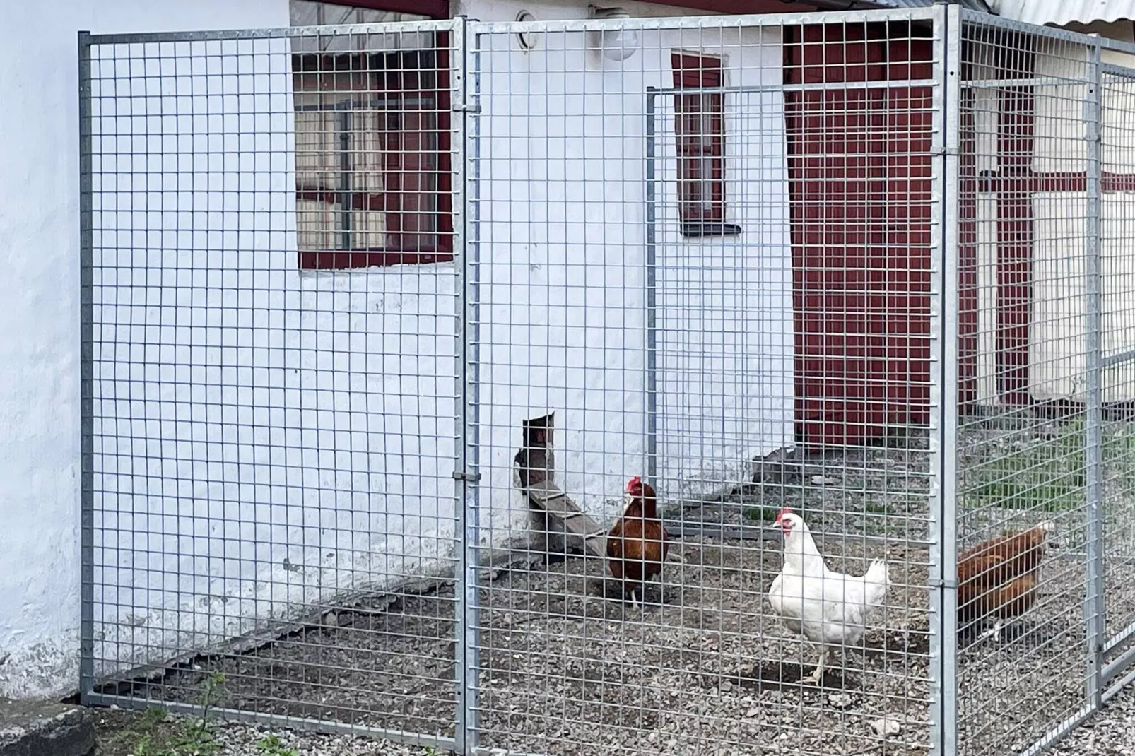 4 persoons vakantie huis in LÖVESTAD-Buitenlucht