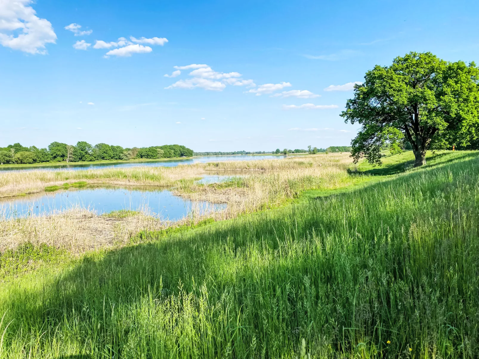 Idylle an der Oder-Buiten