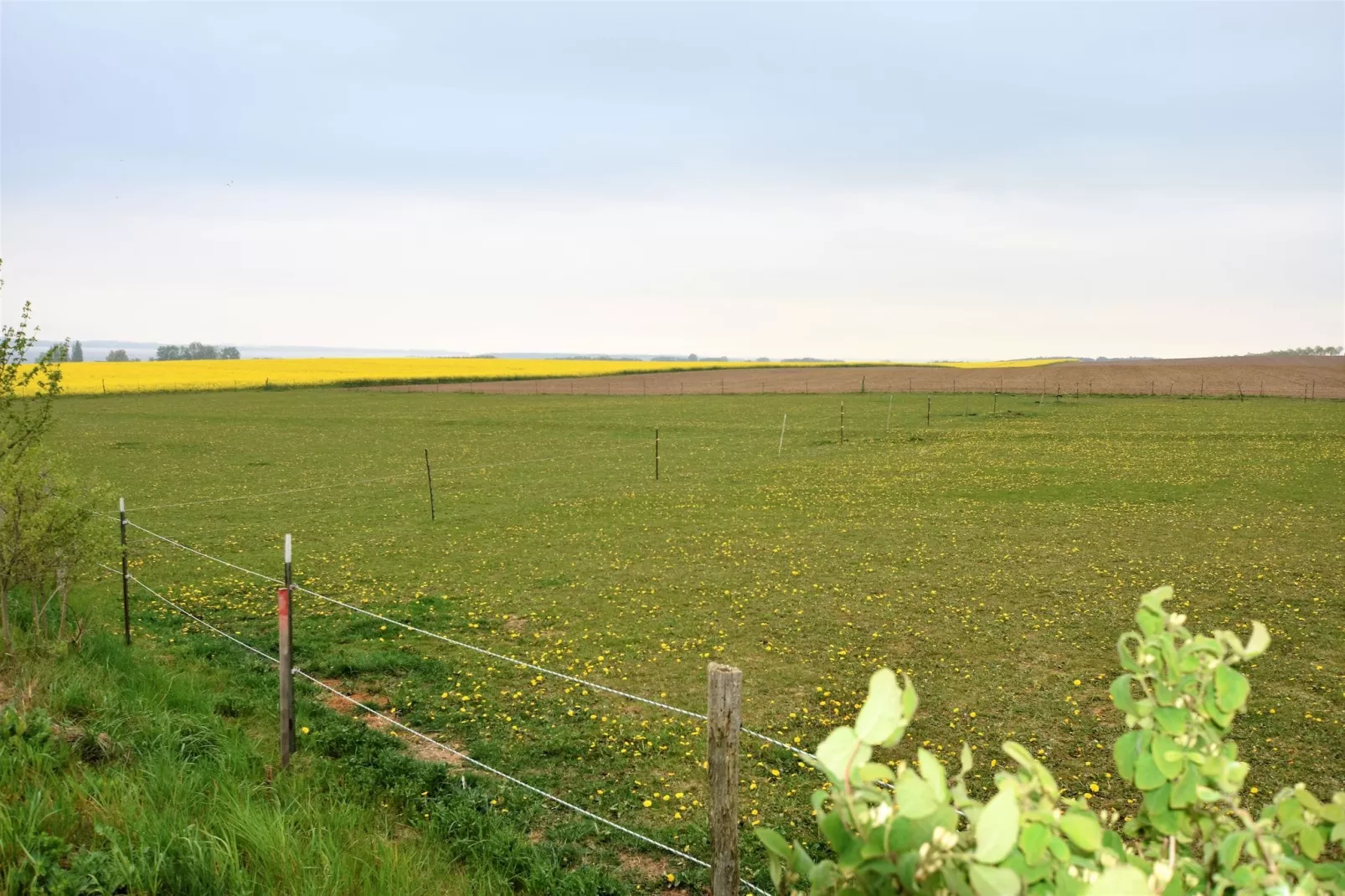 Ferienhaus Windflüchter am Salzhaff-Uitzicht zomer