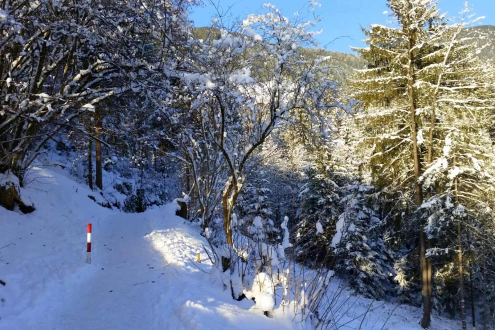 Haus Sonneneck-Gebied winter 1km