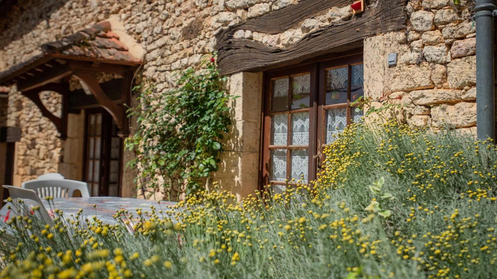 Le Tilleuil en Périgord-Buitenkant zomer