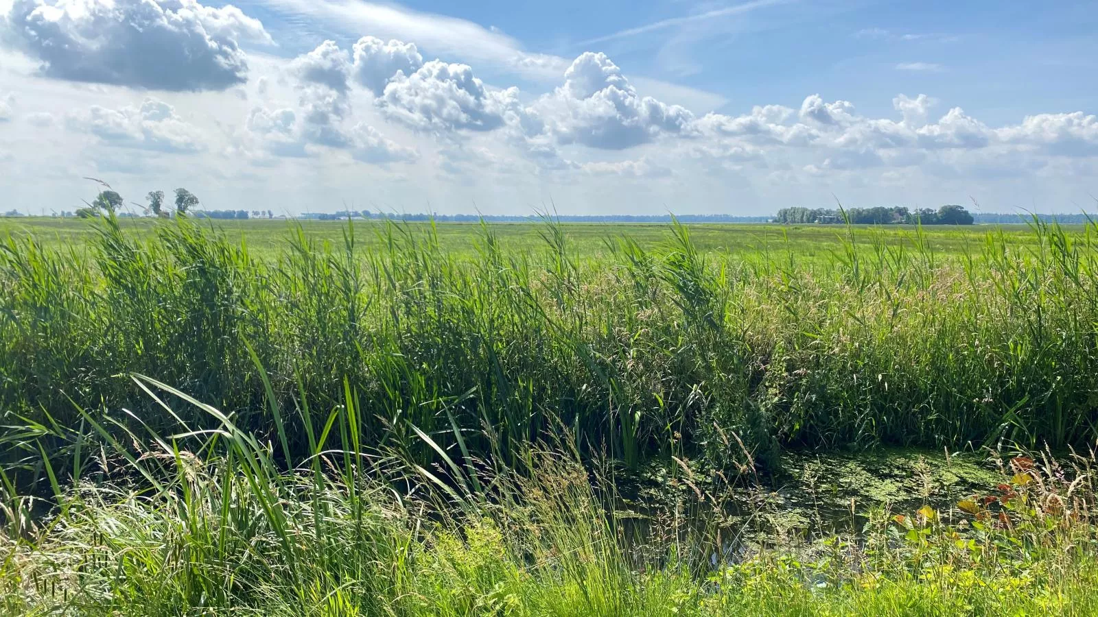 Sluisje 14-Gebieden zomer 5km